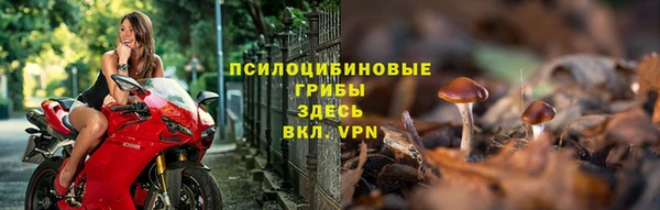 стафф Бронницы