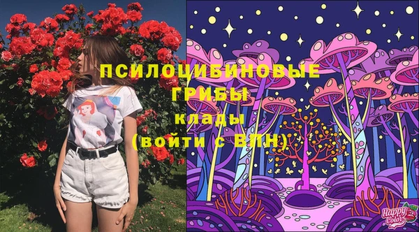 тгк Бугульма