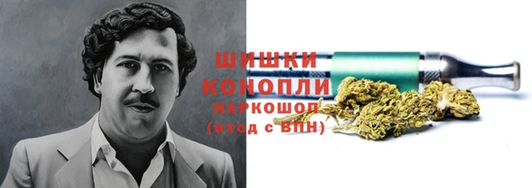 а пвп мука Бородино