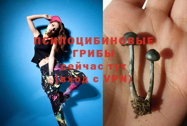 стафф Бронницы
